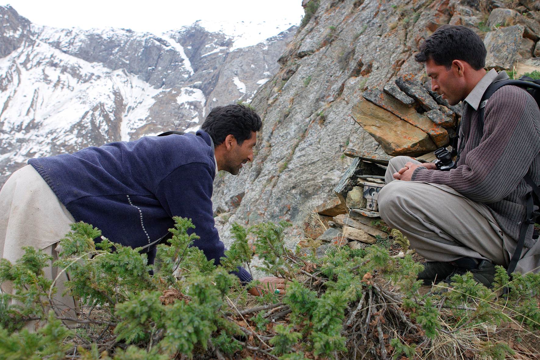 Project Snow Leopard, Pakistan | Whitley Award