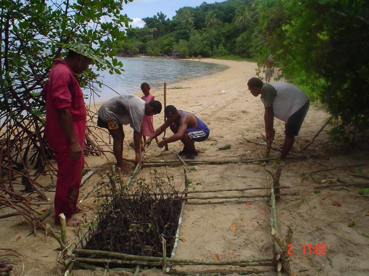 "Alifereti has encouraged locals to replant mangroves, which are important breeding and nursery grounds for fish and invertebrates"