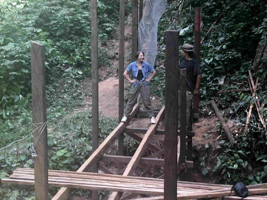 The new centre will provide opportunities for Nigerian secondary, undergraduate and post graduate students to learn about tropical conservation and endangered primates in a rainforest environment