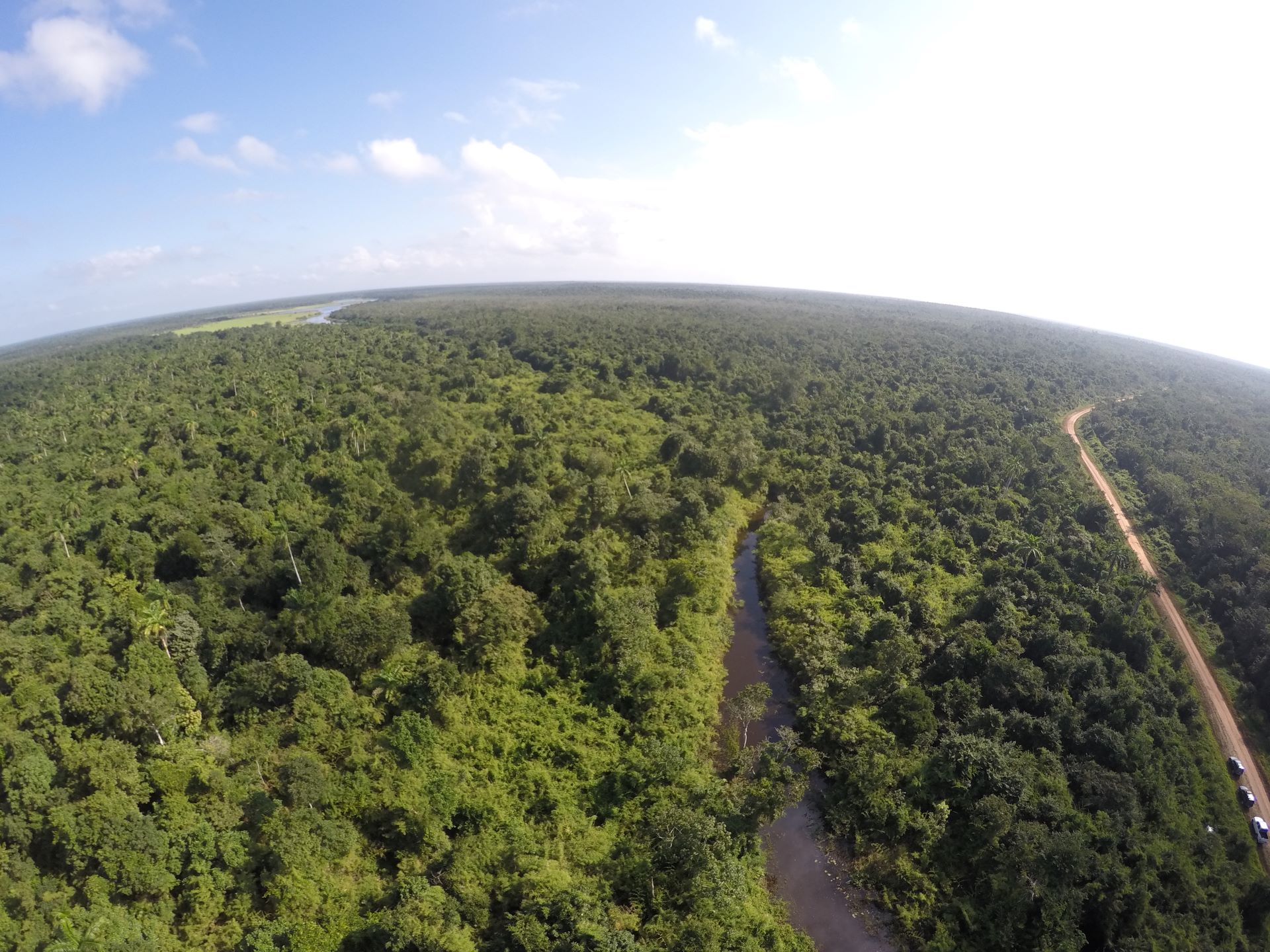 Whitley_Award_winner_Nicole_Auil_Gomez_Maya_Forest_Corridor_Aerial_View_CREDIT_J_Maaz_WCS