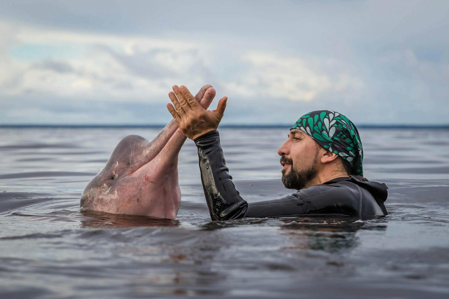 Amazon River Dolphins Colombia Whitley Award