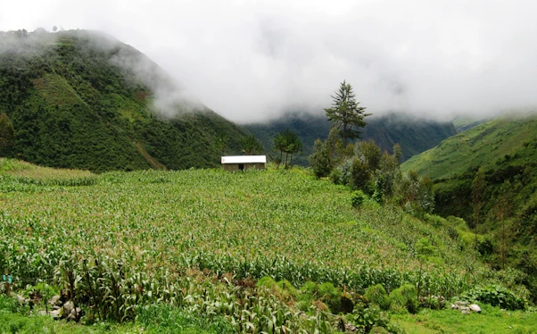 Watershed friendly farming methods