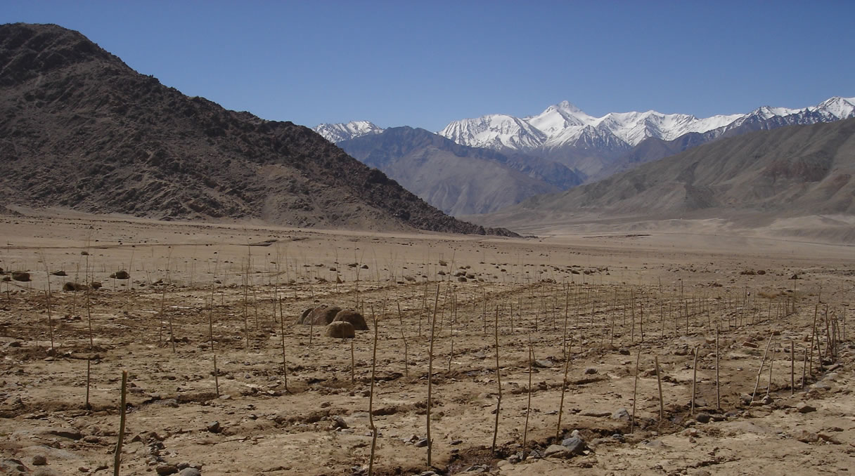 Improving irrigation for crops in arid environments was a key aim