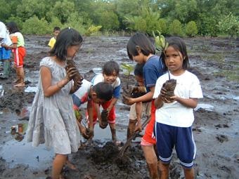 Indonesia's coastline was historically an important mangrove forest area, and most of what remains - some 5,000 hectares - lie within North Sulawesi Province
