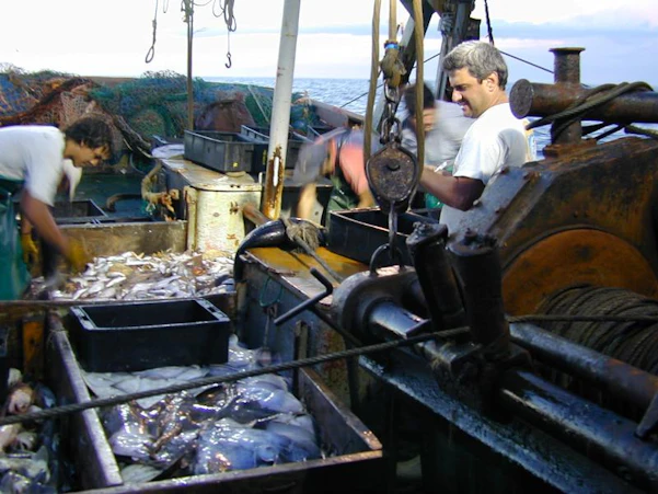 Since the early 1990s, Gustavo Chiaramonte has led a research team in the study of Argentina's sharks