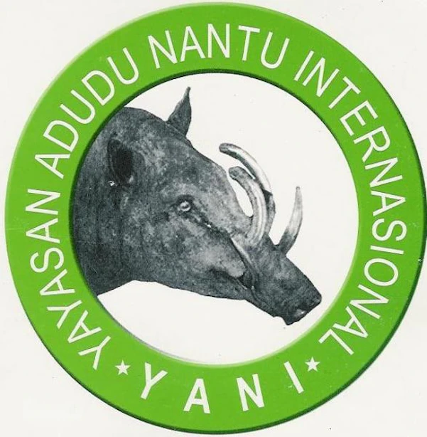 While its general form is pig-like, the babirusa's peculiarities have warranted the creation of a separate genus. Recent studies of fossils show that this species may be more closely related to hippopotamuses than pigs