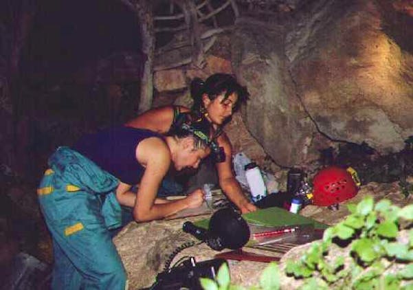 Daniela's research focuses on the Miljacka Cave - one of the biggest bat caves in Europe
