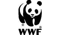 Image for WWF UK