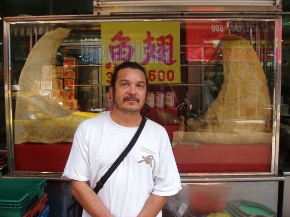 Shark fins are still highly prized across Asia, driving illegal fishing