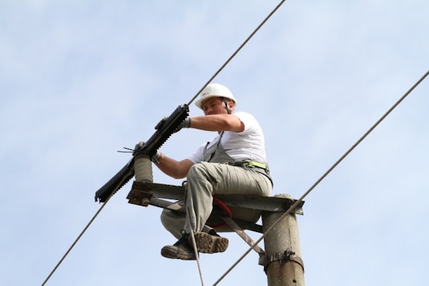 Insulating electricity cables is a simple but effective way of protecting Imperial eagles