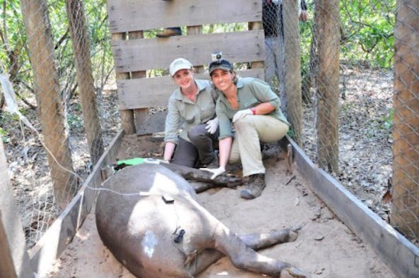 Danni Parks and Patricia Medici collecting tapir data