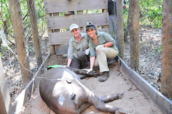 Danni Parks and Patricia Medici collecting tapir data
