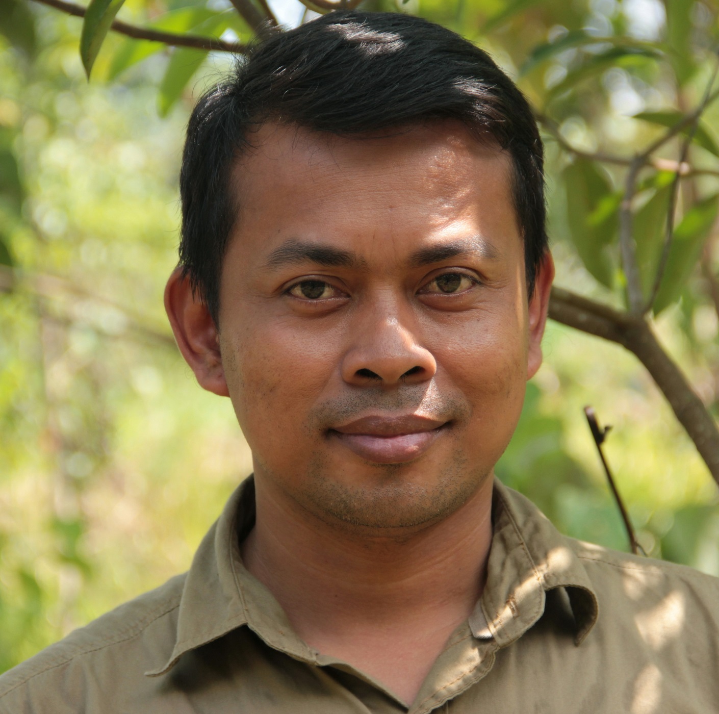Avatar for Panut Hadisiswoyo