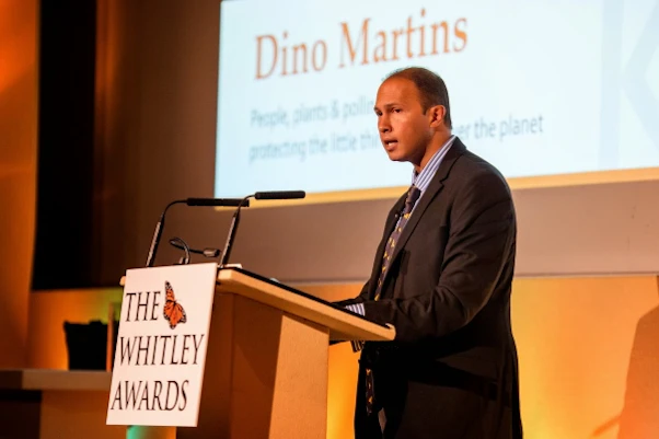 Dino Martins