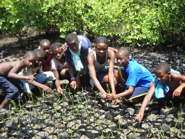 Kids planting mangrove nursery