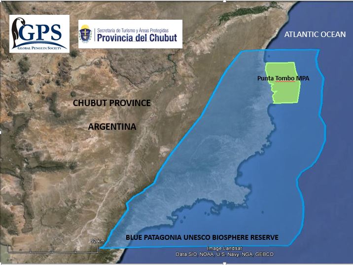 new-mpa-punta-tombo
