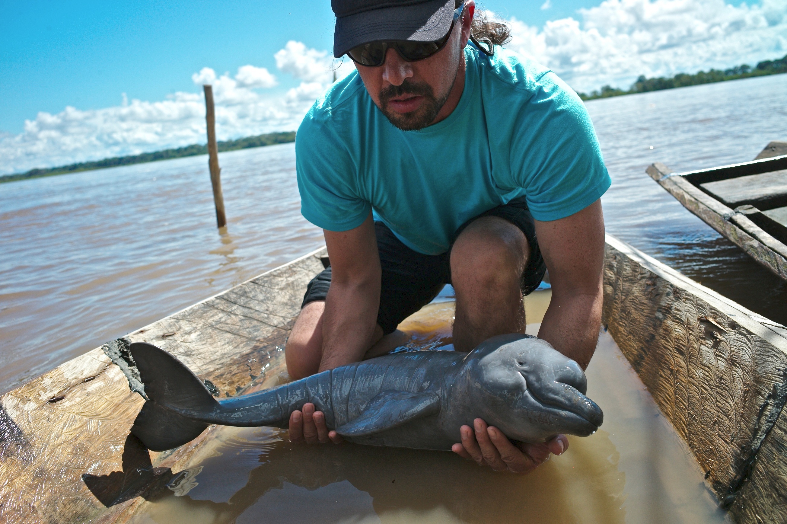 Fernando Trujillo Secures Safer Future For Pink River Dolphins Whitley Award