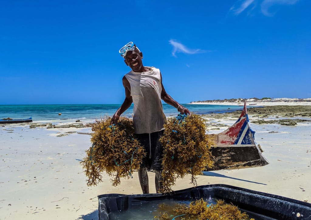 Whitley_Award_winner_Vatosoa_Rakotondrazafy_Seaweed_farmer_in_southwest_Madagascar_CREDIT_MIHARI