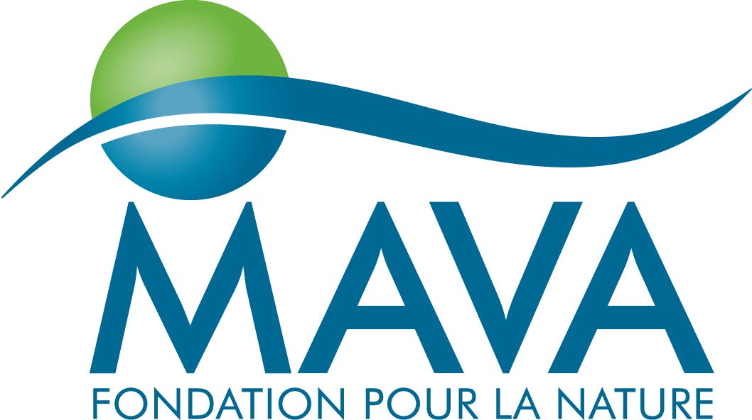 Image for MAVA Foundation
