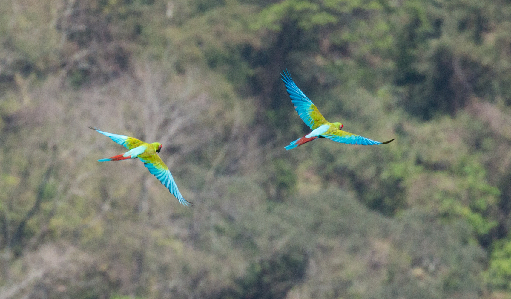 WFN Continuation Funding winner Luis Rivera credit Carlos Cuñado