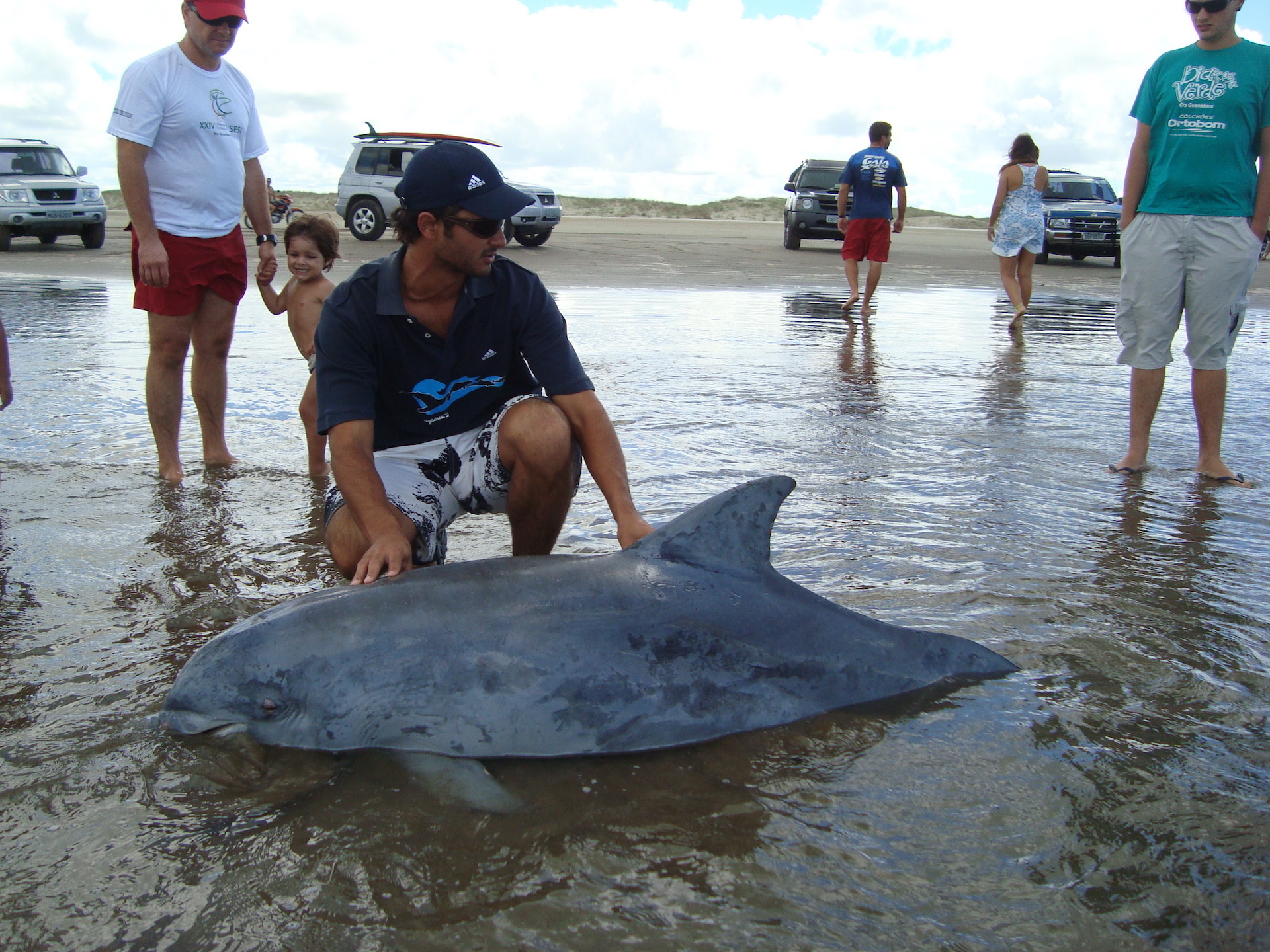 Pedro Fruet's team responding to dolphin mortality