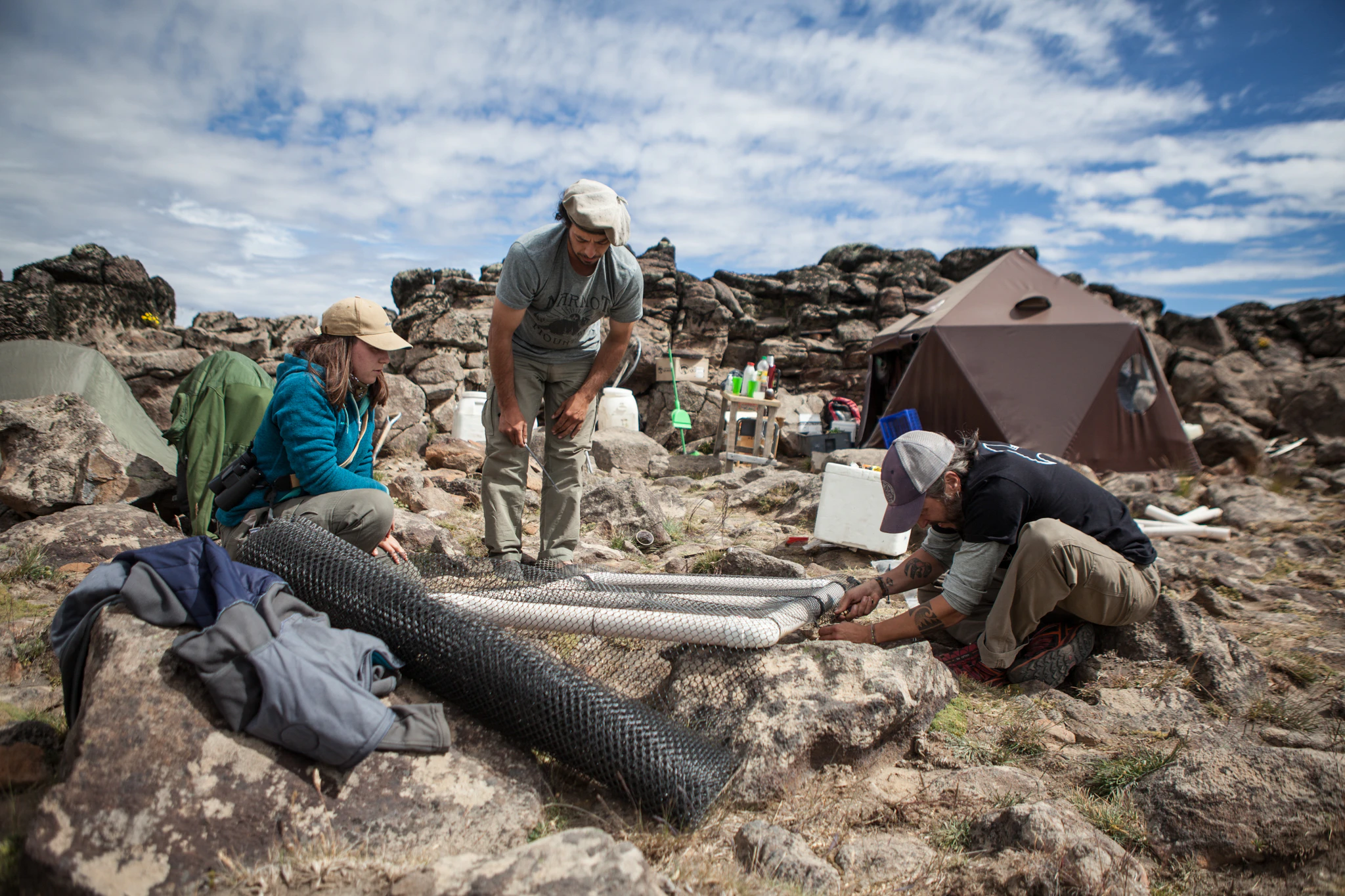 Kini Roesler's team constructing Hooded Grebe breeding platforms