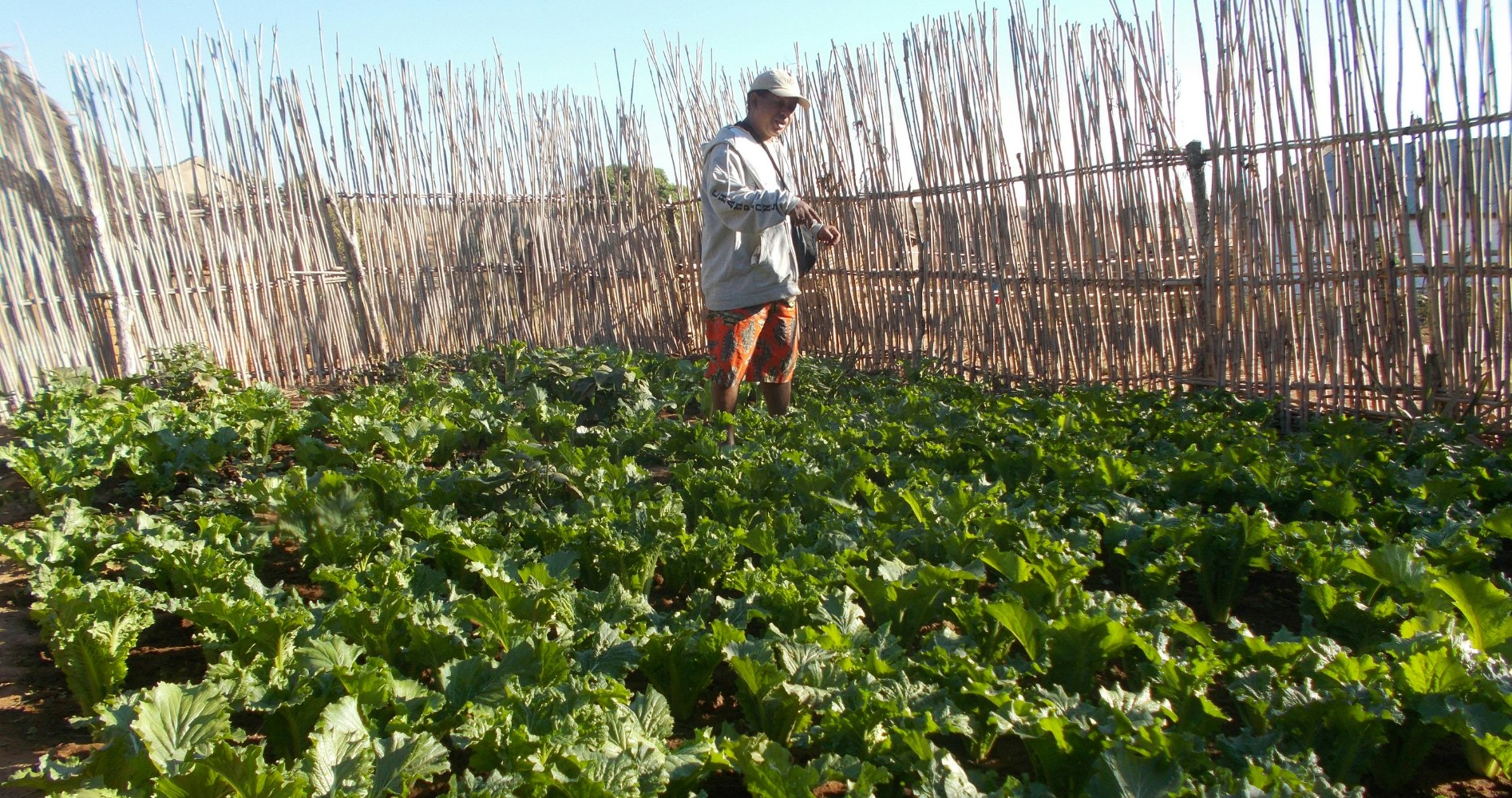Whitley Award winner Josia Razafindramanana is implementing climate resilient agriculture in Madagascar