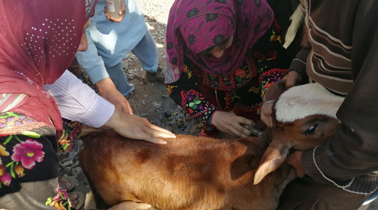 Continuation Funding 2021 winner Muhammad Ali Nawaz