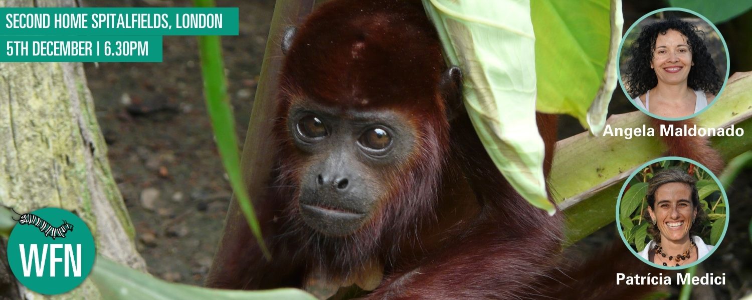 Hero Image, Monkey, NextGen Logo, Headshots of Patr&iacute;cia Medici and Angela Maldonado