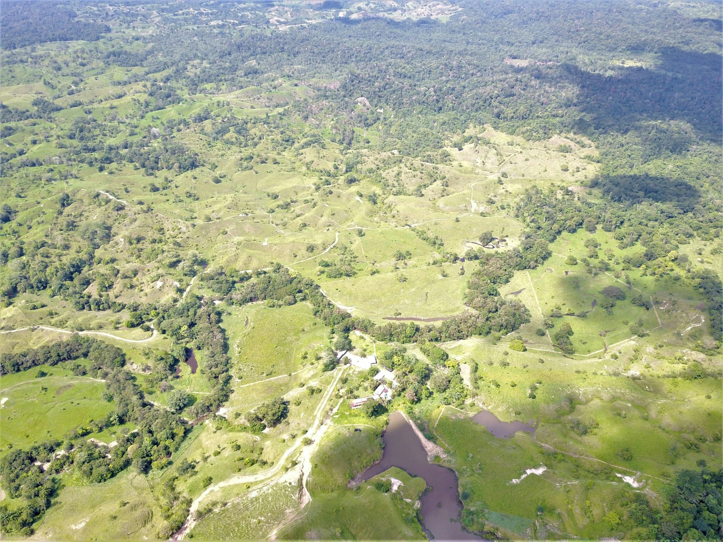 Andrés _Link _2025_Colombia_Landscape_Forest corridors between forest fragments