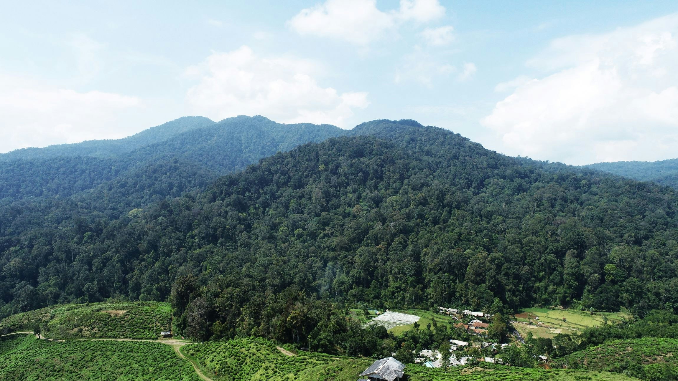 Rahayu _Oktaviani _2025_Indonesia_Landscape_Threat_2