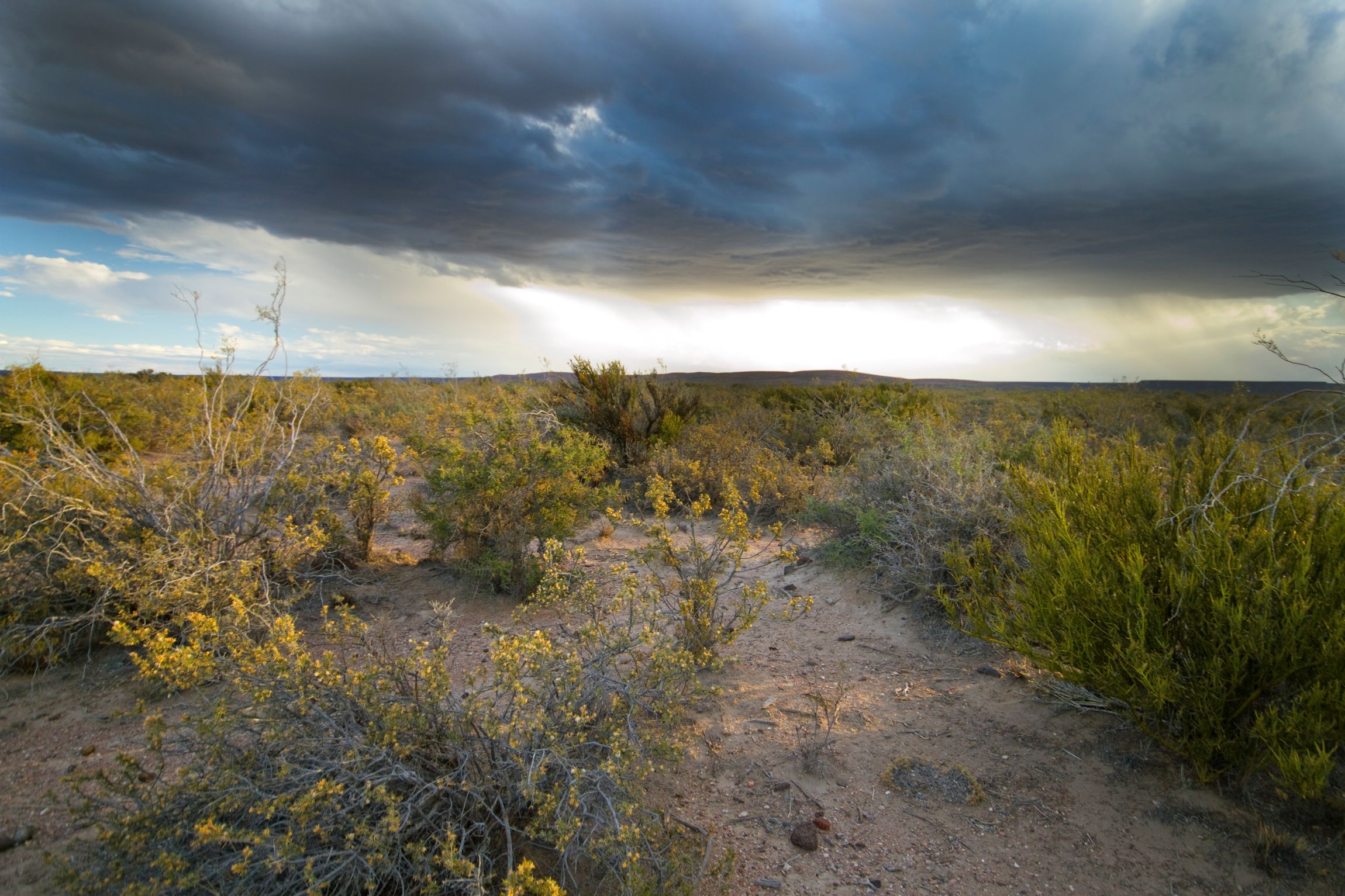 Federico _Kacoliris _2025_Argentina_Landscape