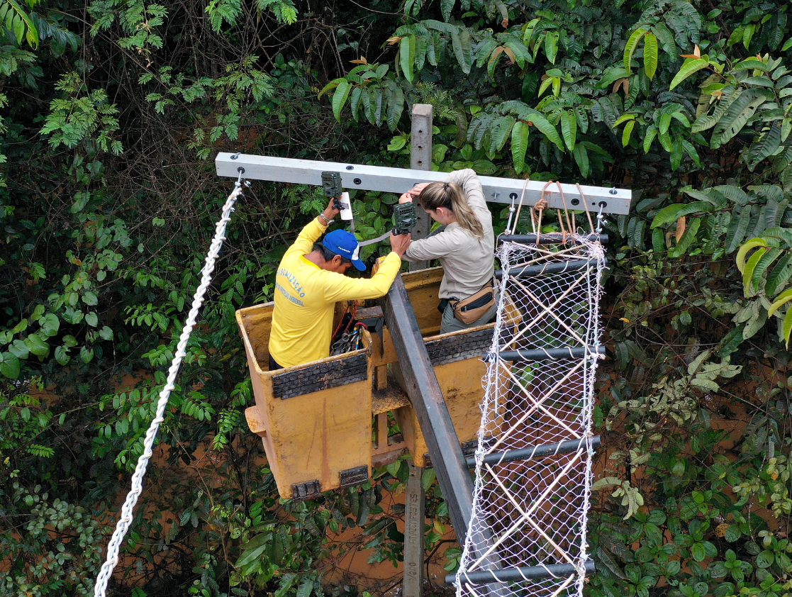 Photo of Fernanda Abra and colleague installing a canopy bridge made of rope using a cherry picker, with the Amazon forest in the background.