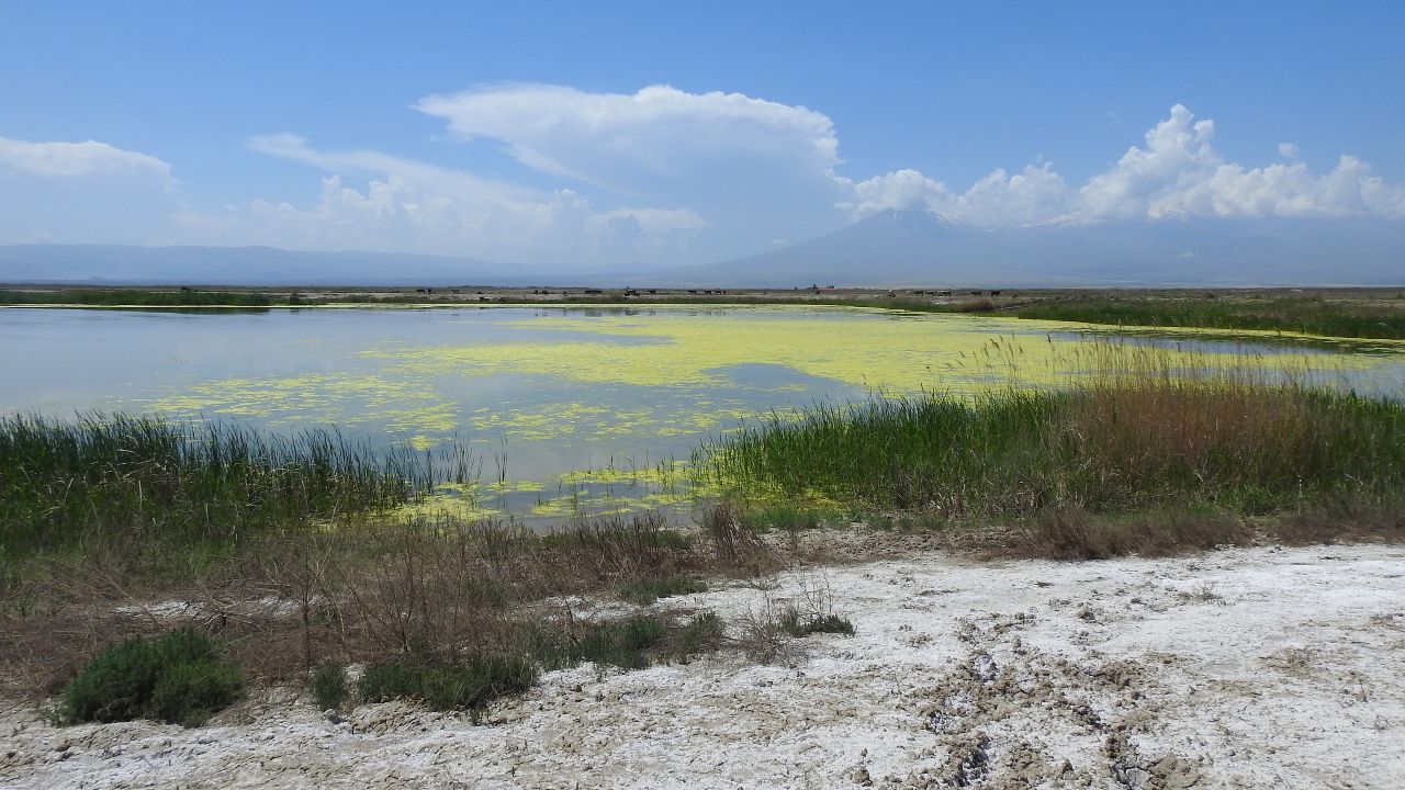 Photo of wetlands by Karen Aghababyan