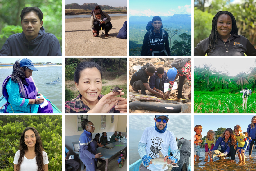 A collage of portraits of the top 12 Whitley Awards shortlist