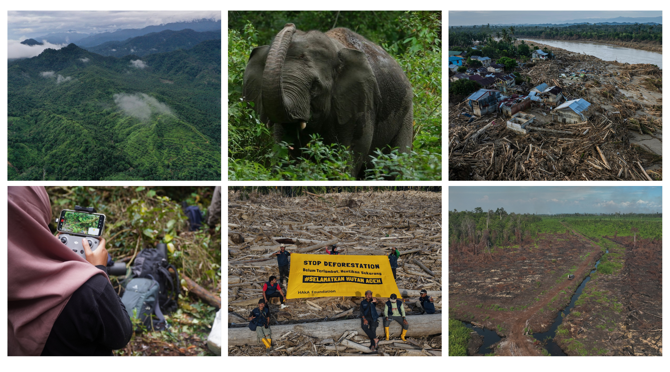From left to right, aerial shot of Leuser ecosystem, elephant, drone shot of post cyclone devestation, Farwizas team using drones to assess forest areas, drone shot of HAkA holding a stop deforestation sign, deforestation.
